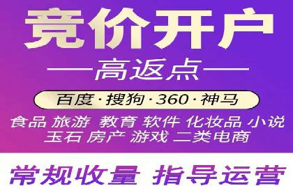 成功运用SEM服务实现品牌推广的案例分析